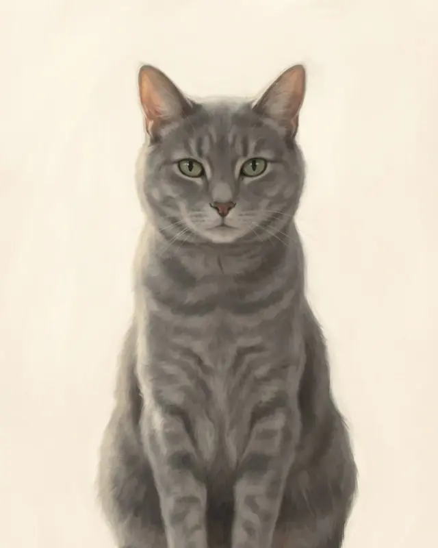 Clean Studio style render of a gray cat named Boots