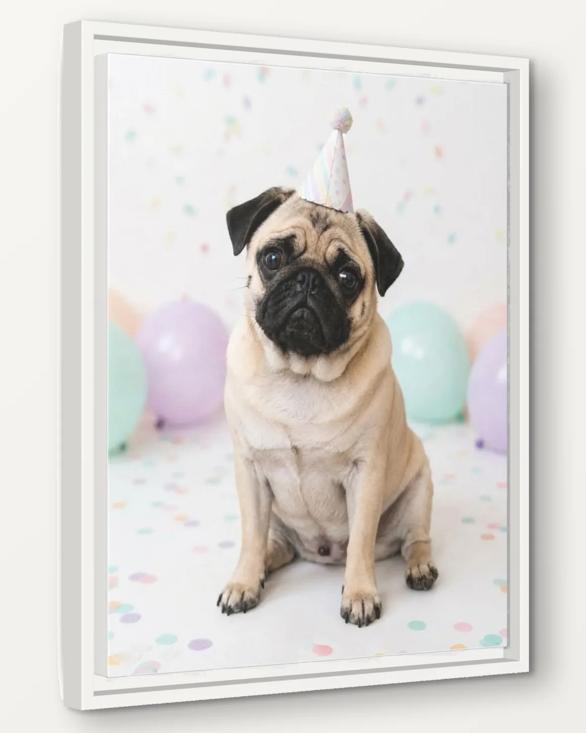 A pug's Birthday Party portrait as a 16x20 framed canvas, seen from the side to show the 1.25 inch frame