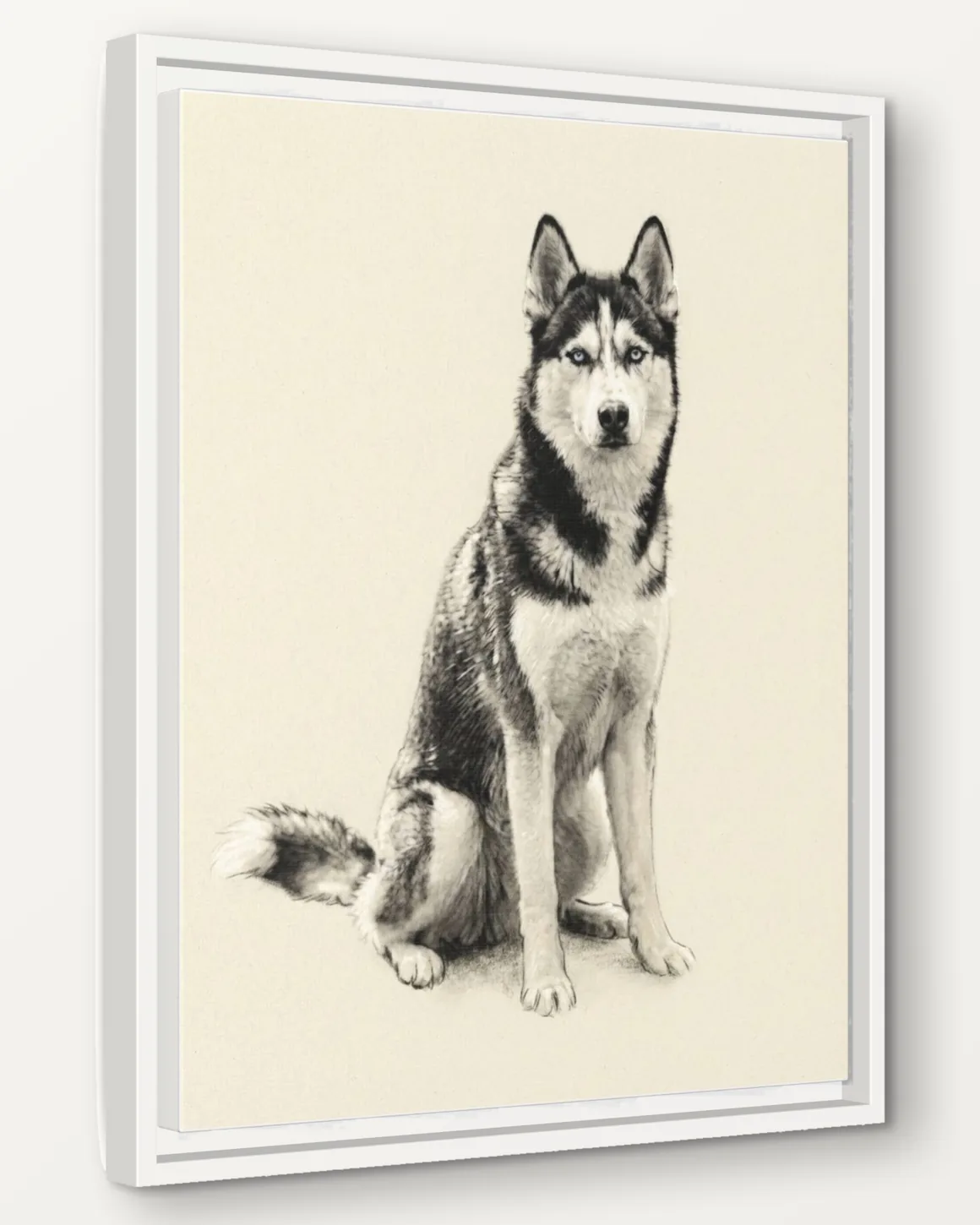A husky's Charcoal Study portrait as a 16x20 framed canvas, seen from the side to show the 1.25 inch frame