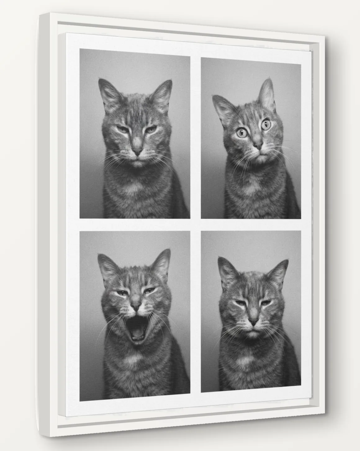Boots's Photobooth Strip portrait as a 16x20 framed canvas, seen from the side to show the 1.25 inch frame