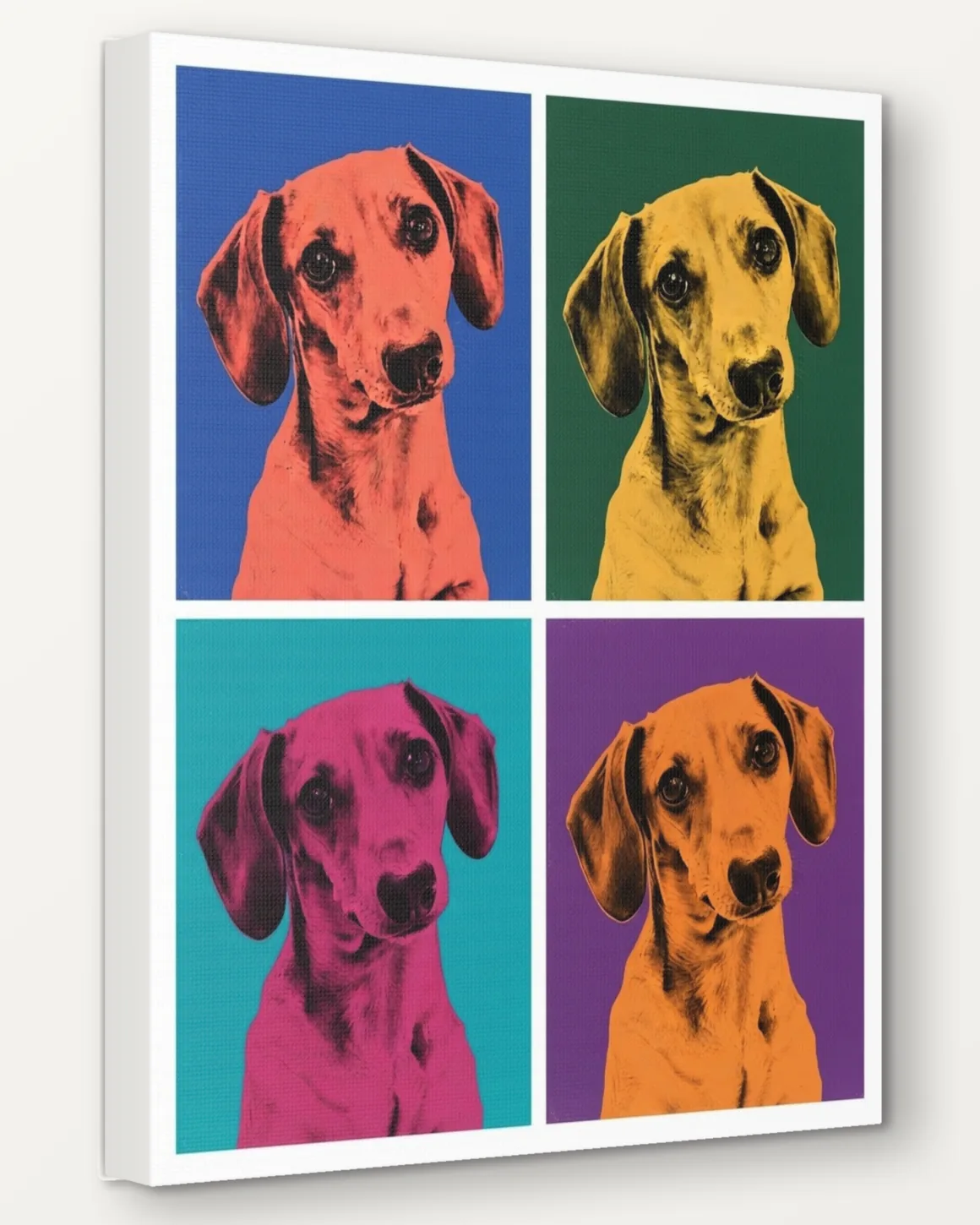 A red dachshund's Pop Art Quad portrait as a 16x20 canvas, seen from the side to show the 1.5 inch edge