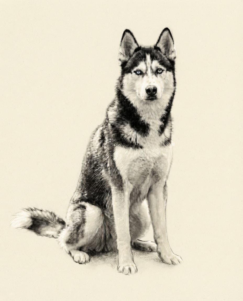 Charcoal Study style render