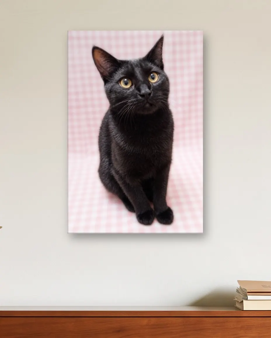 A black cat's Pastel Gingham portrait as a canvas on a music corner wall above a cherry upright piano