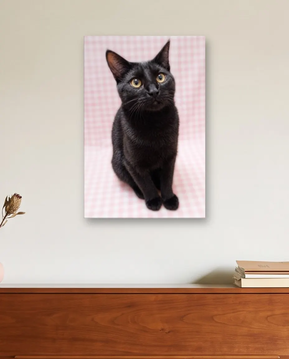 A black cat's Pastel Gingham portrait as a canvas on a music corner wall above a cherry upright piano